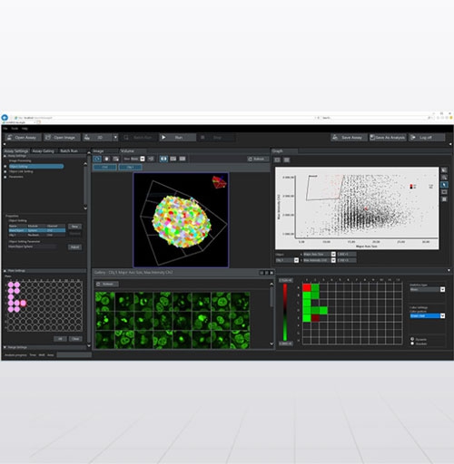 西安3D細胞分析軟件 NoviSight